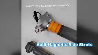 Amortecedores magnéticos Audi TT A3 S3 RS3